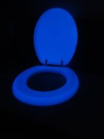 Glow in the dark toilet seat