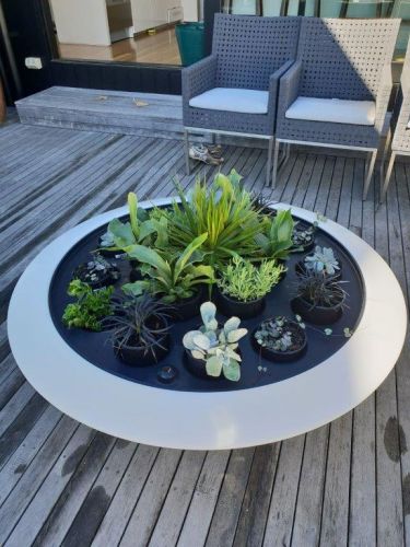 Giant planter bowl - multi purpose