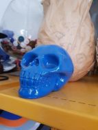 Skull - resin - Blue & White